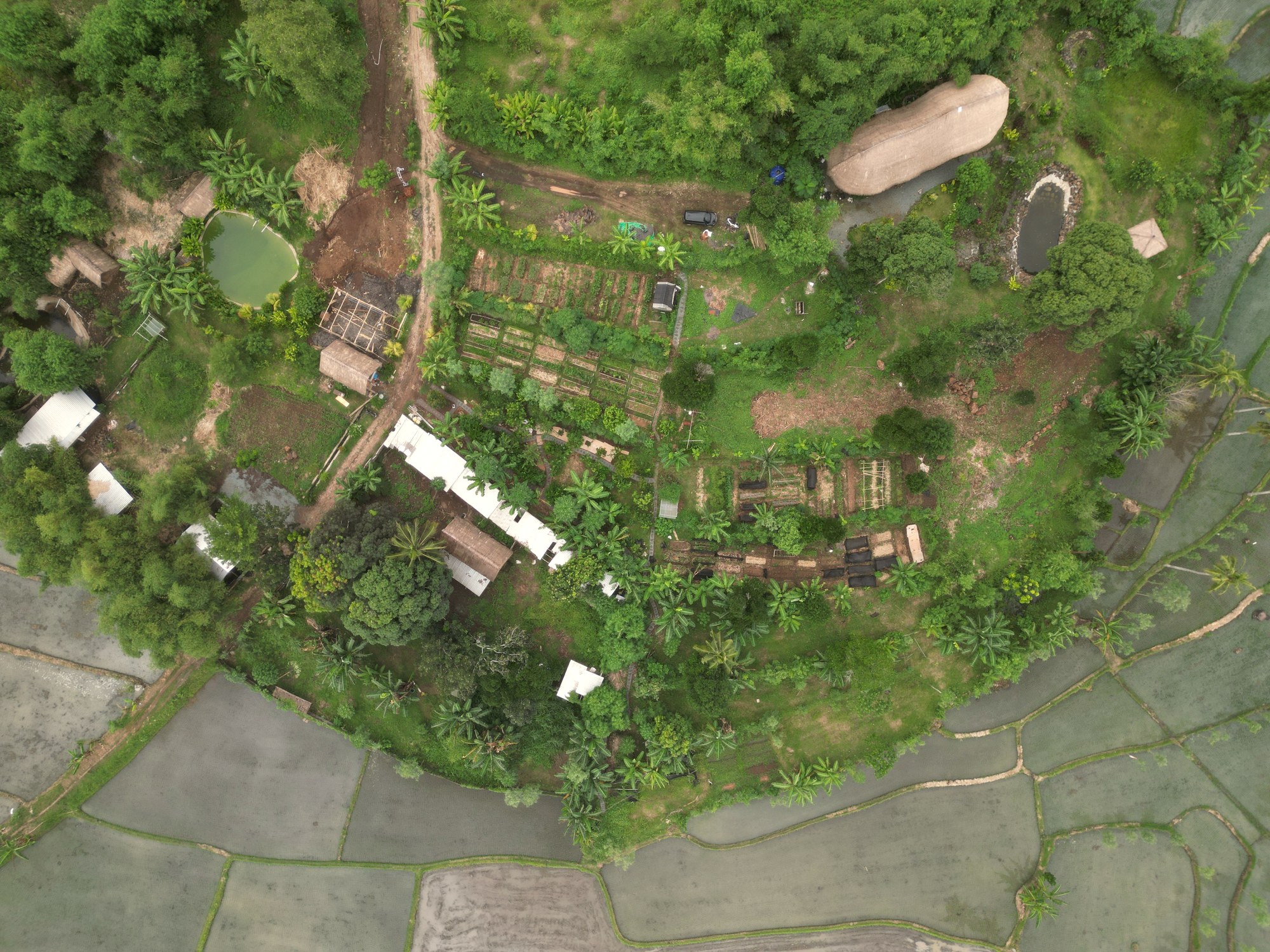 An overhead view of the land and pond on a still day